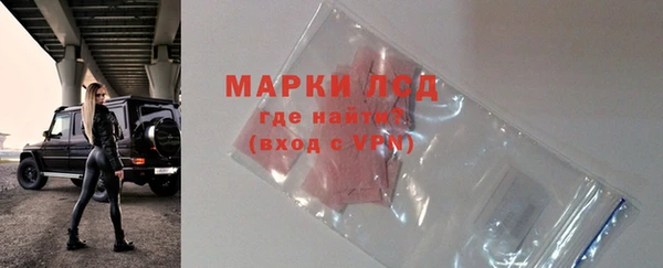 хмурый Алзамай