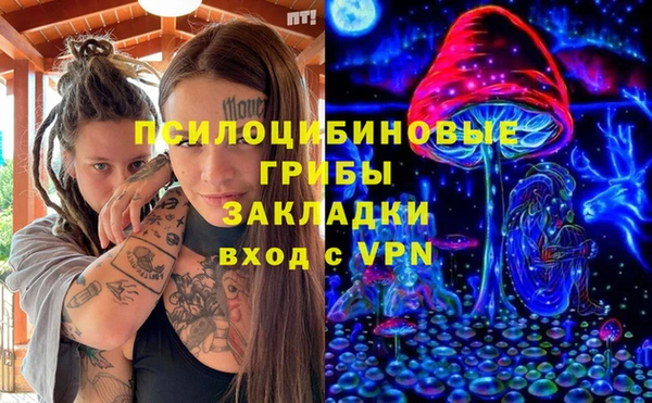 хмурый Алзамай