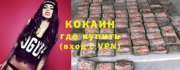хмурый Алзамай