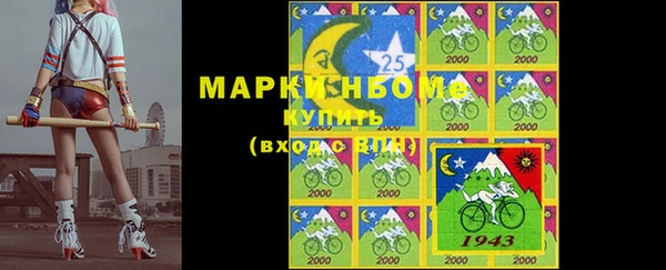 хмурый Алзамай