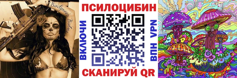 Галлюциногенные грибы Cubensis  Купить где  Верея 